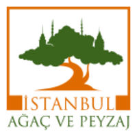 Logo(1)